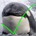 orca-detector-detector avatar