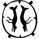 orcawolf avatar