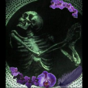 orchid-and-bone avatar