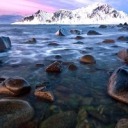 orchidaaorchid avatar