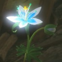 orchidcourage avatar