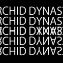 orchiddynasty avatar