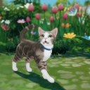 orchidlysims avatar