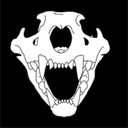 ordinaryossuary avatar