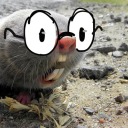 oreniaa avatar