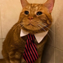 orenthaljunioro avatar