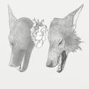 organic-moose avatar