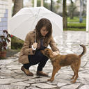 organicsoymilk-blog avatar