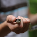 organismalequality avatar