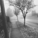 original-violence avatar