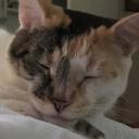 originalbastard avatar