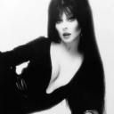 originalcatcheesecake avatar