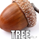 originale42-66 avatar