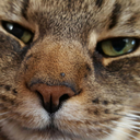 originalnameherewastaken avatar