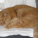 originalnevie avatar