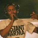 originalshepherdturtleroad avatar