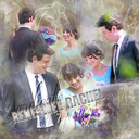 originalswolf-blog avatar