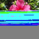 originalusername2 avatar