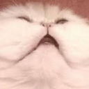 originalzombierunaway avatar