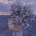 orion-the-writer avatar