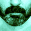 orionbear-ish avatar