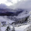 orionfoxp2-blog avatar