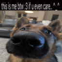 orionthenightfury avatar