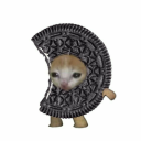 oriyo25 avatar