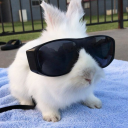 orlandoinavan avatar