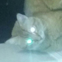 orphanbloodorange avatar