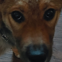 orv-art-i-could-live-off-of avatar