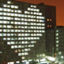 orvo-blog-blog avatar