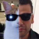 oscarestradaluvr avatar