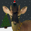 oscillating-fan-whore5 avatar