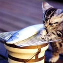 osekihan-blog avatar