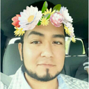 oso-en-una-lata avatar