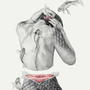 osservoinsilenzio avatar