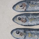 ostensiblehare avatar