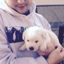 ostercoaster-blog avatar