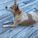 otaytanye-blog avatar