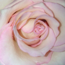 otgibiyasiyorum avatar