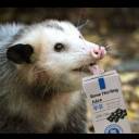 otherlandshark avatar