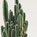 otherwaytohappiness avatar