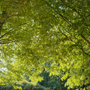 otherworldly333 avatar