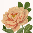 ott-a-valasz-a-szemedben avatar