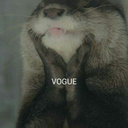 otter-stop-blog avatar