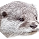 otterlyfabby avatar