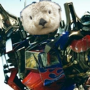 ottermusprime avatar