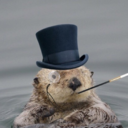 otterologist-blog avatar