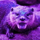 otterskin avatar